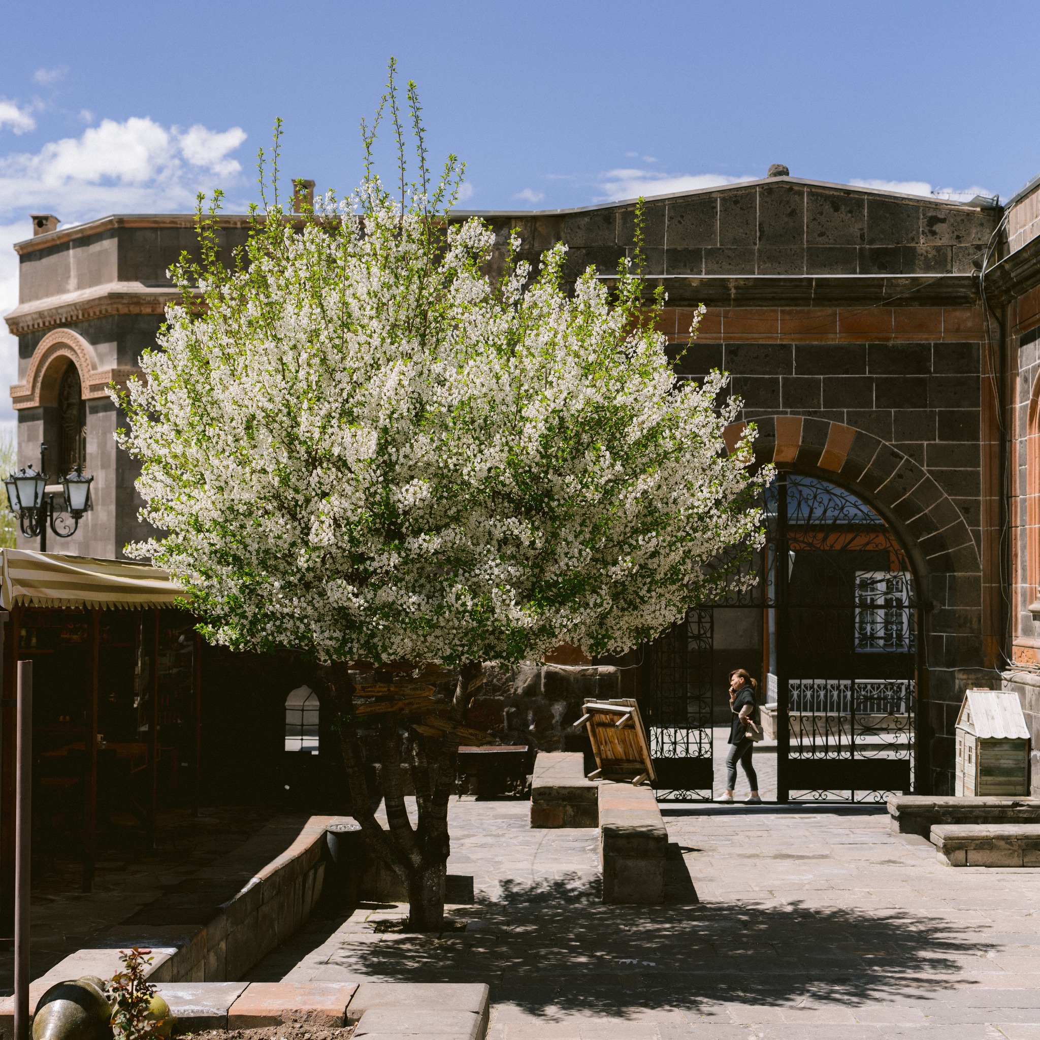 Gyumri's Culture